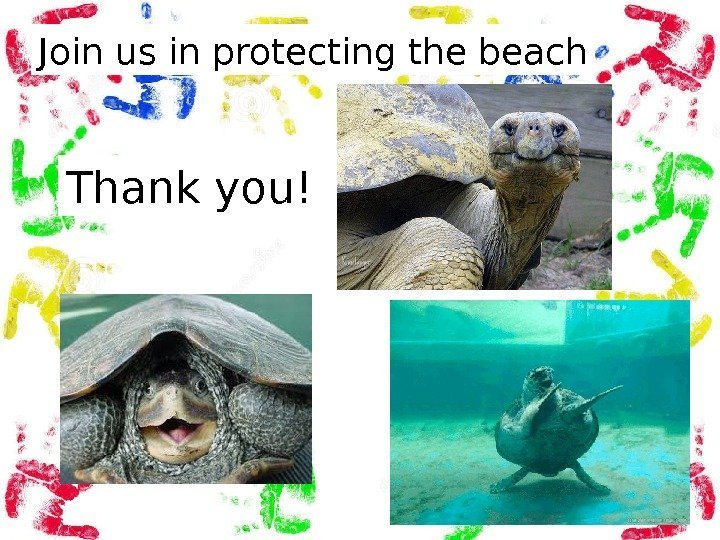 Join us in protecting the beach Thank you! 